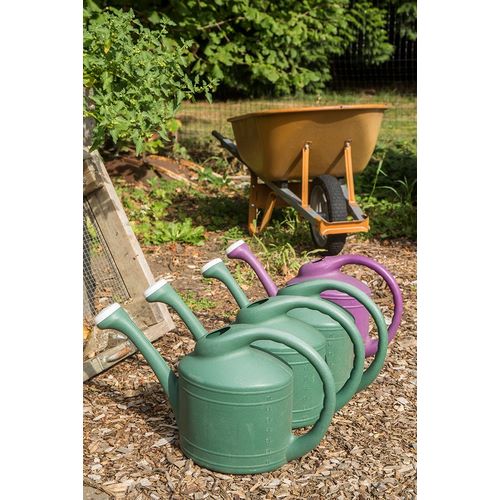 Horton, Janet 아티스트의 Issaquah-Washington State-USA Row of plastic watering cans for hand-watering a garden작품입니다.